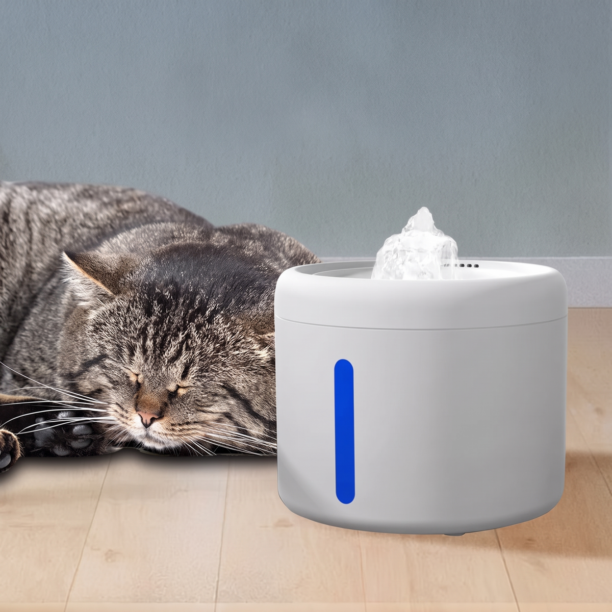 Cat sleeping beside the quiet USB water fountain while it runs